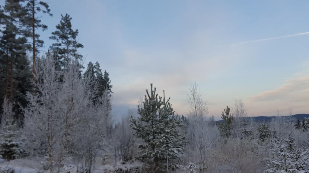 Romme Rum Borlänge Εξωτερικό φωτογραφία